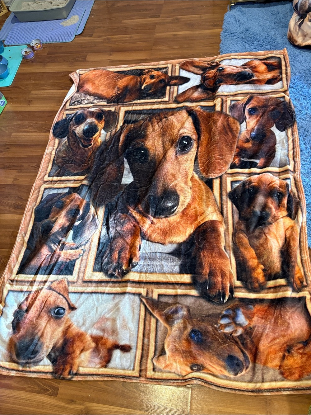 Dachshund Dog Throw blanket